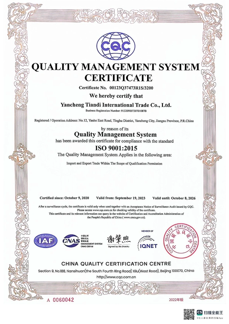 iso 9001 report